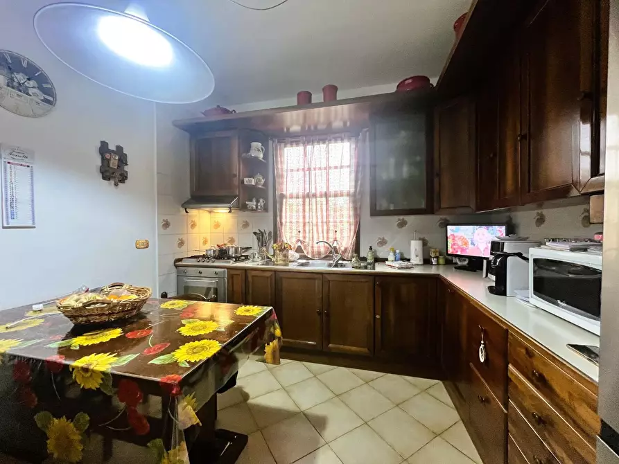 Immagine 45 di Villa in vendita  a Rosignano Marittimo