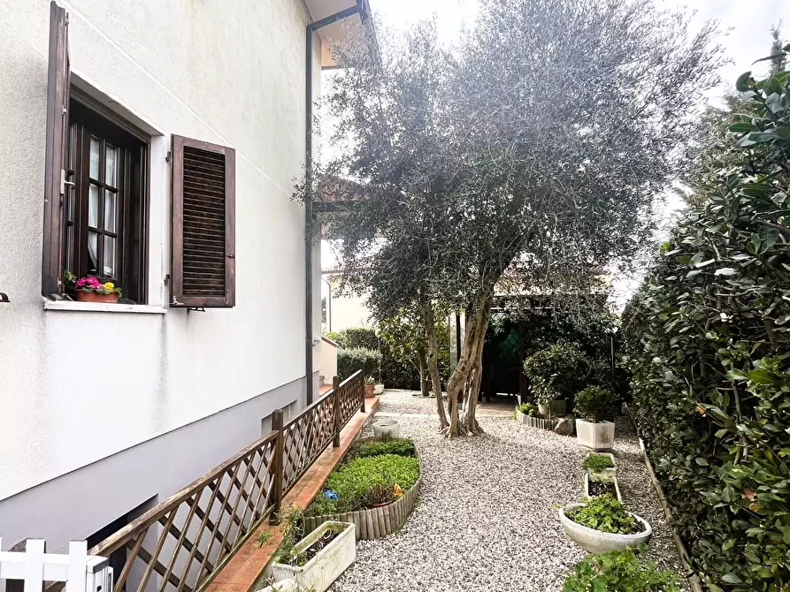 Immagine 15 di Villa in vendita  a Rosignano Marittimo