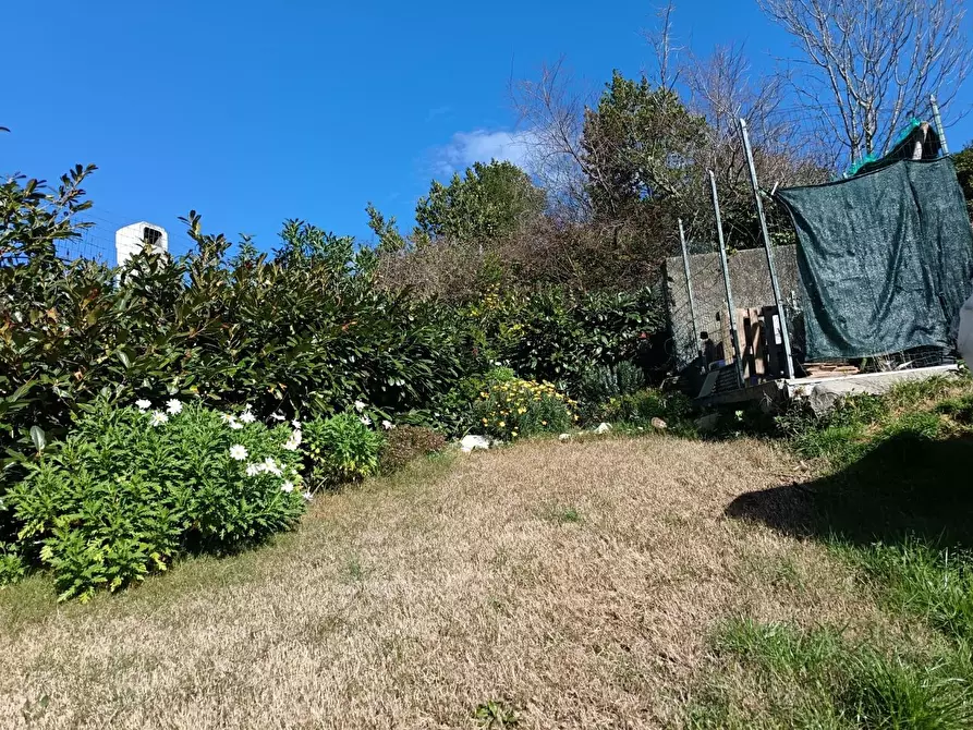 Immagine 21 di Appartamento in vendita  a Rosignano Marittimo