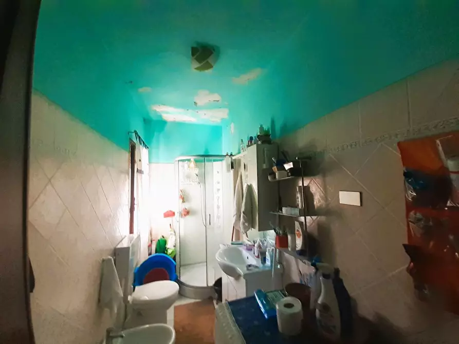 Immagine 8 di Appartamento in vendita  a Capannori