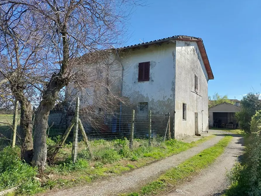 Immagine 5 di Rustico / casale in vendita  a Ponsacco