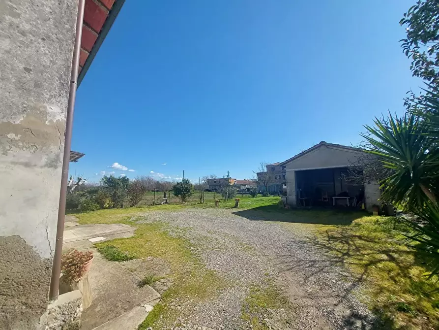 Immagine 6 di Rustico / casale in vendita  a Ponsacco