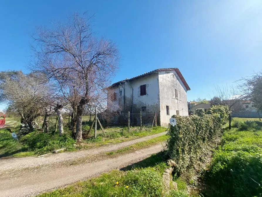 Immagine 4 di Rustico / casale in vendita  a Ponsacco