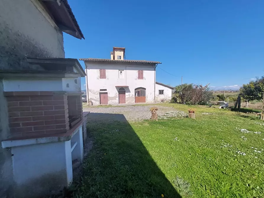 Immagine 3 di Rustico / casale in vendita  a Ponsacco