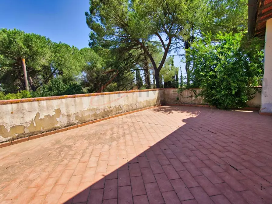 Immagine 42 di Villa in vendita  a Piombino