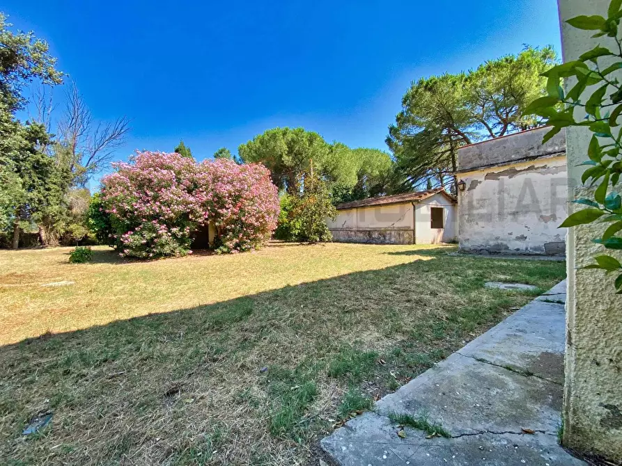 Immagine 70 di Villa in vendita  a Piombino