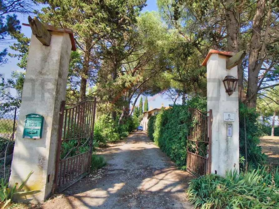 Immagine 48 di Villa in vendita  a Piombino