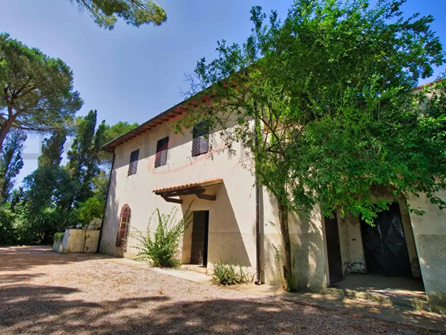 Immagine 46 di Villa in vendita  a Piombino