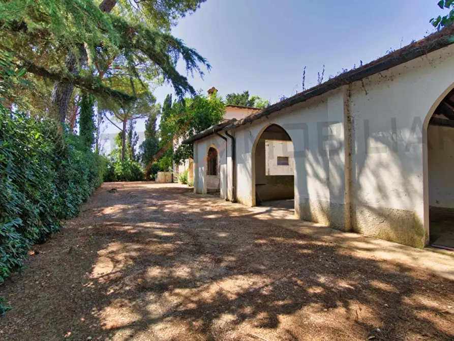 Immagine 43 di Villa in vendita  a Piombino