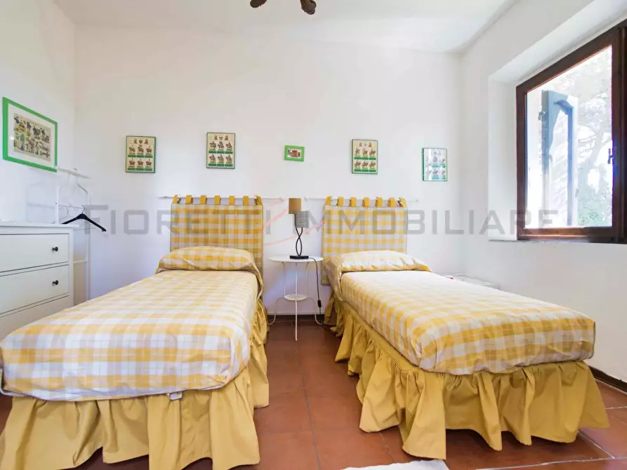 Immagine 36 di Villa in vendita  a Piombino