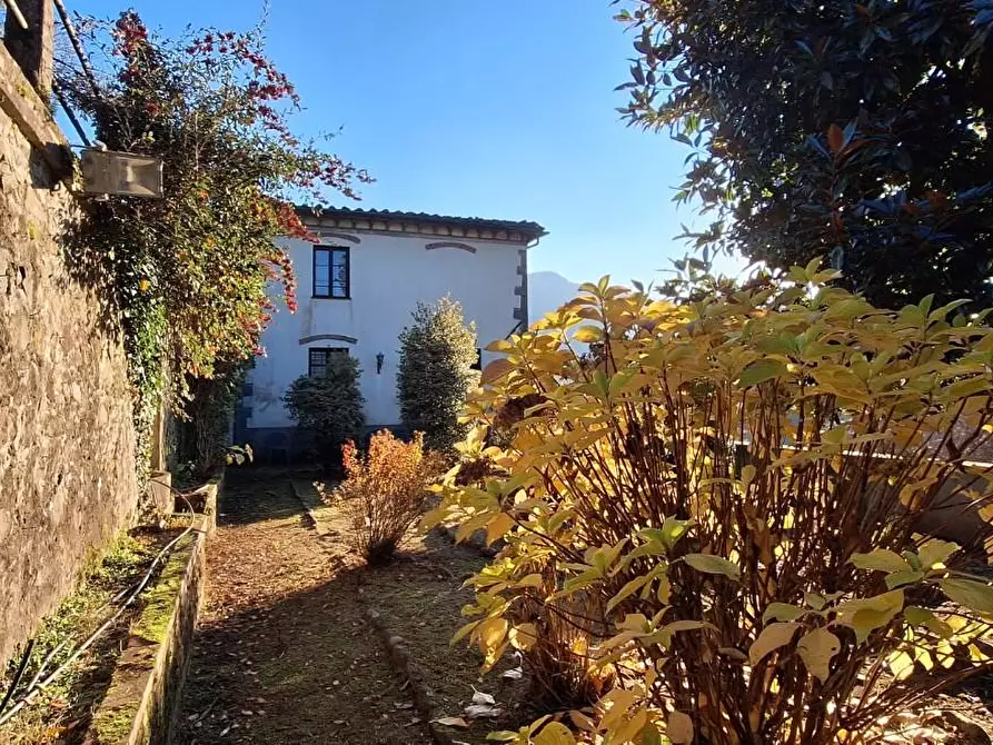 Immagine 9 di Villa in vendita  a Borgo A Mozzano