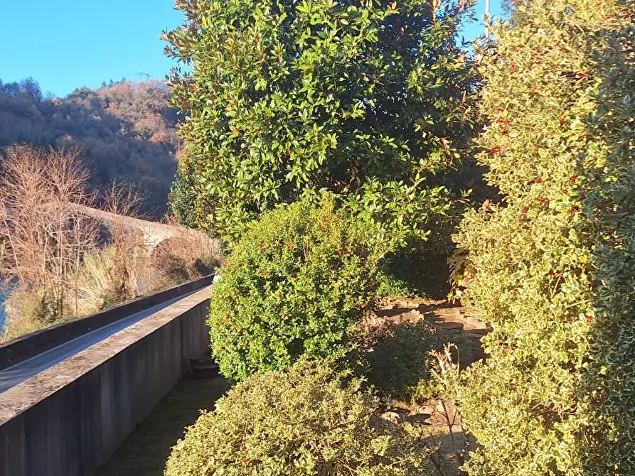 Immagine 5 di Villa in vendita  a Borgo A Mozzano