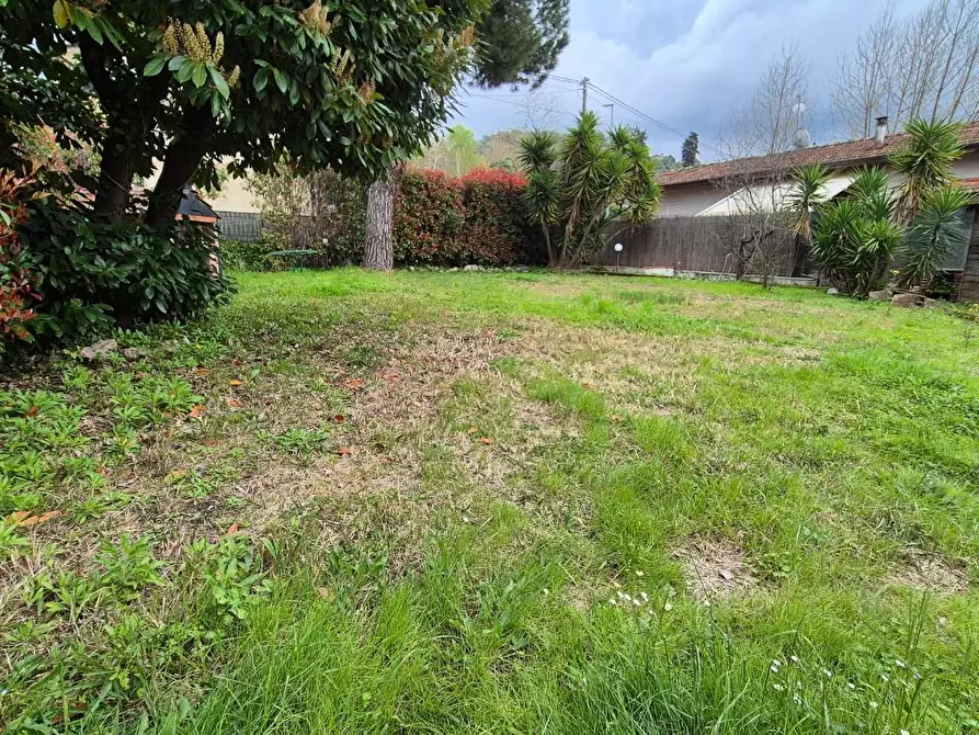 Immagine 132 di Casa colonica in vendita  a Camaiore