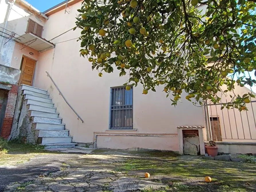 Immagine 1 di Terratetto in vendita  a Massa