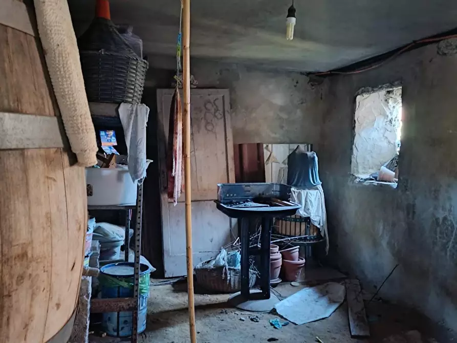 Immagine 12 di Terratetto in vendita  a Massa