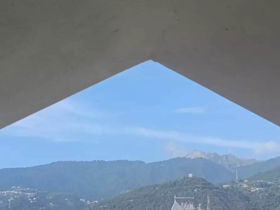 Immagine 34 di Casa bifamiliare in vendita  a Montignoso