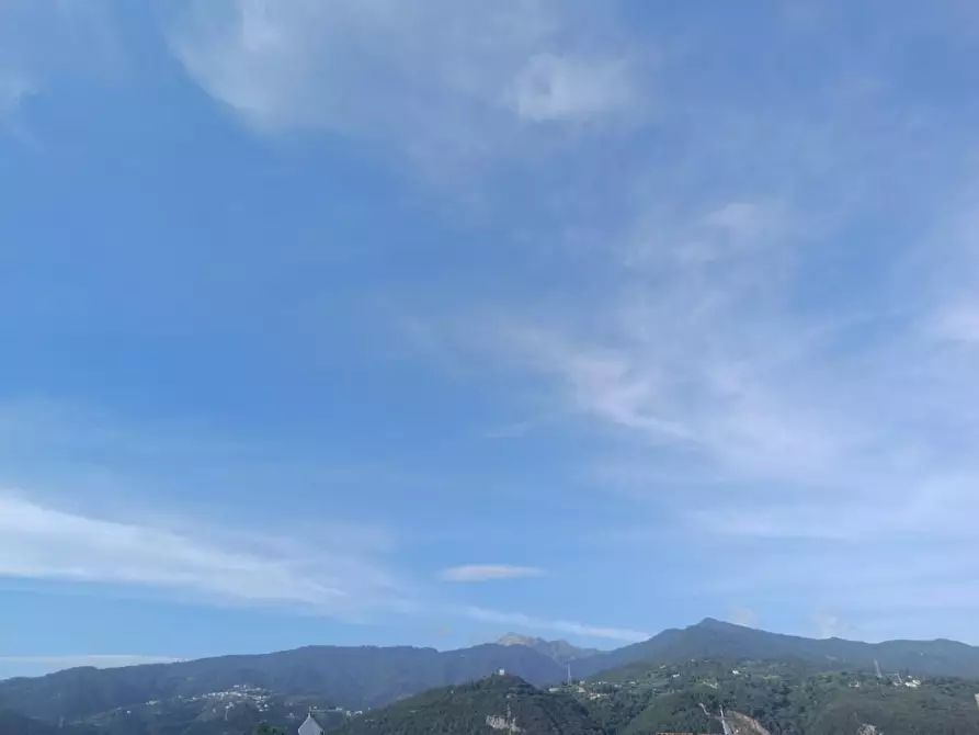 Immagine 42 di Casa bifamiliare in vendita  a Montignoso