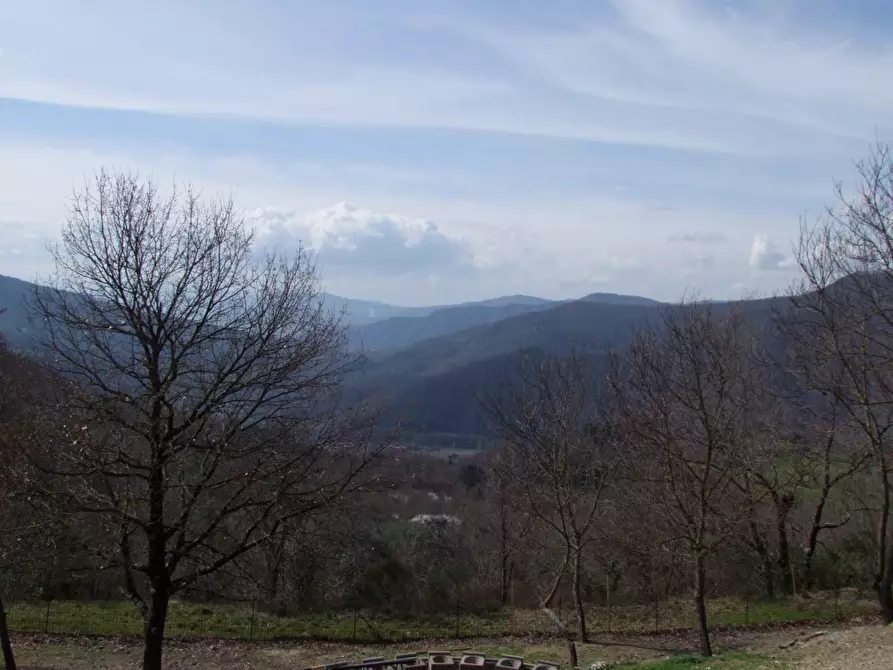 Immagine 16 di Casa colonica in vendita  a Dicomano