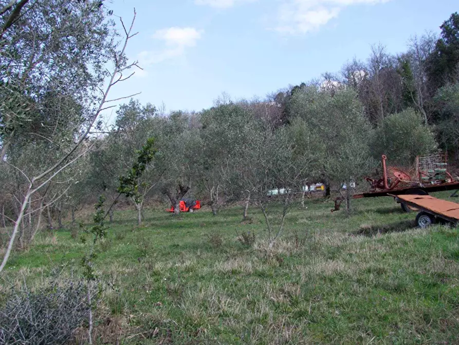 Immagine 14 di Casa colonica in vendita  a Dicomano
