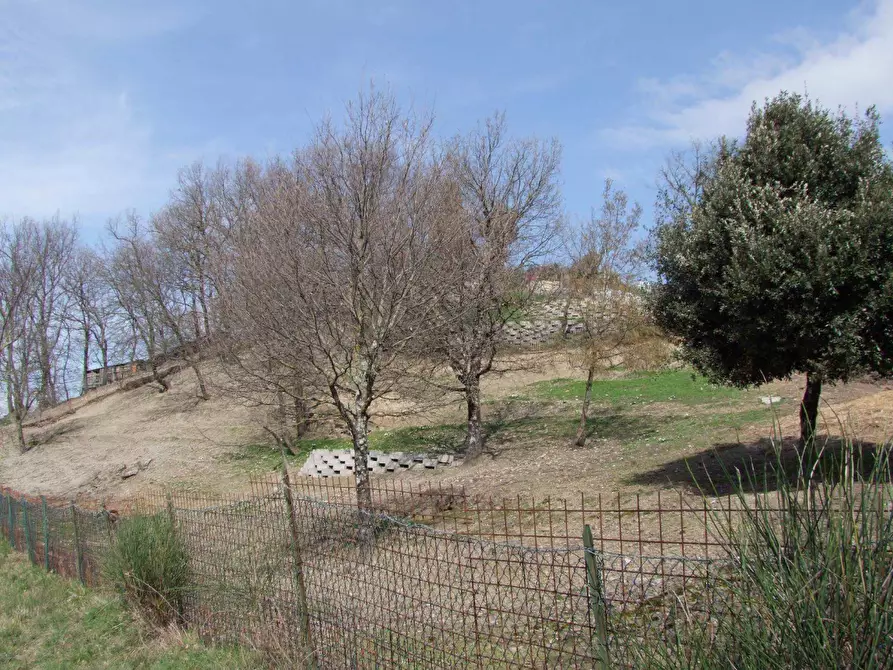 Immagine 12 di Casa colonica in vendita  a Dicomano