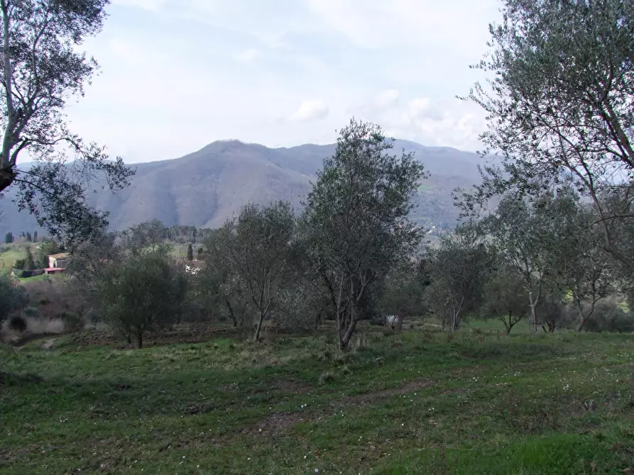 Immagine 13 di Casa colonica in vendita  a Dicomano