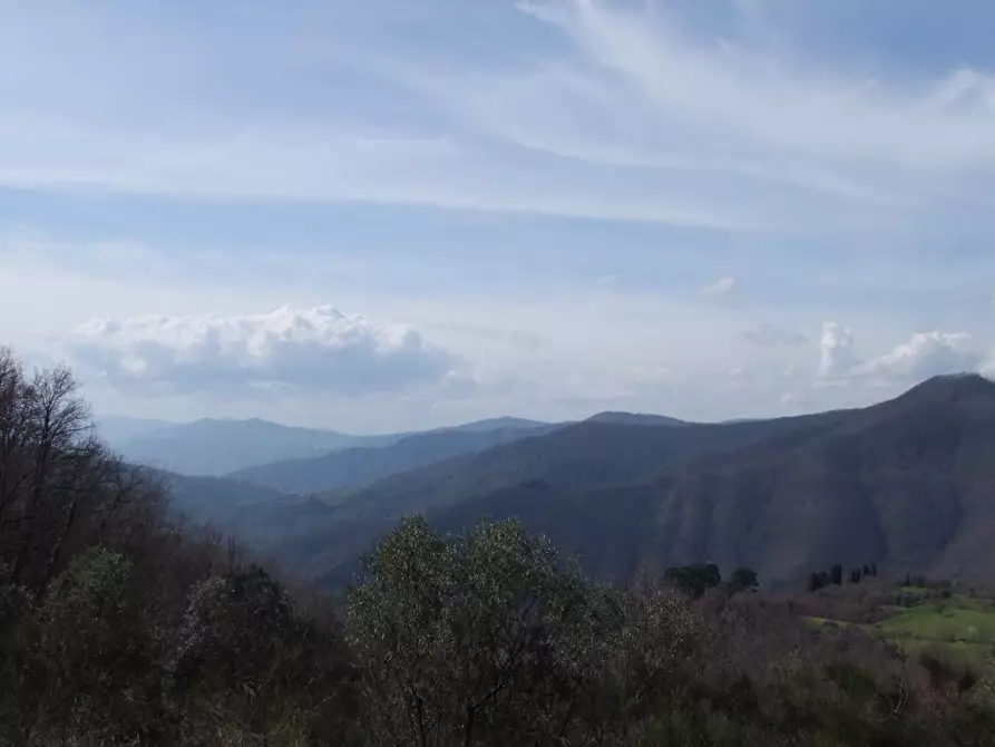 Immagine 18 di Casa colonica in vendita  a Dicomano