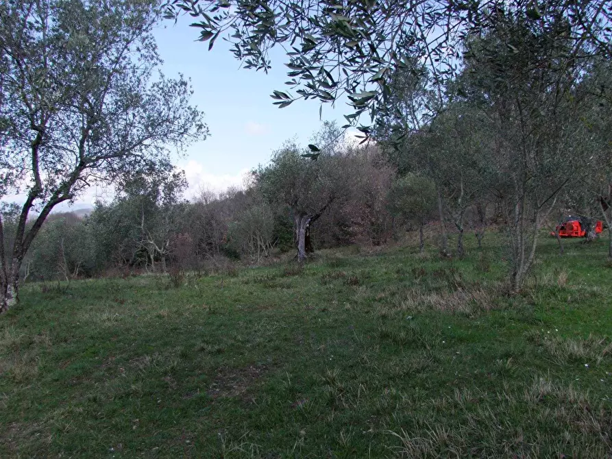 Immagine 8 di Casa colonica in vendita  a Dicomano