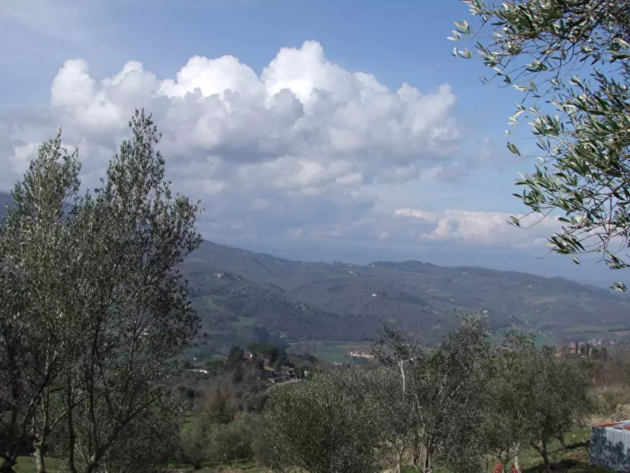 Immagine 17 di Casa colonica in vendita  a Dicomano