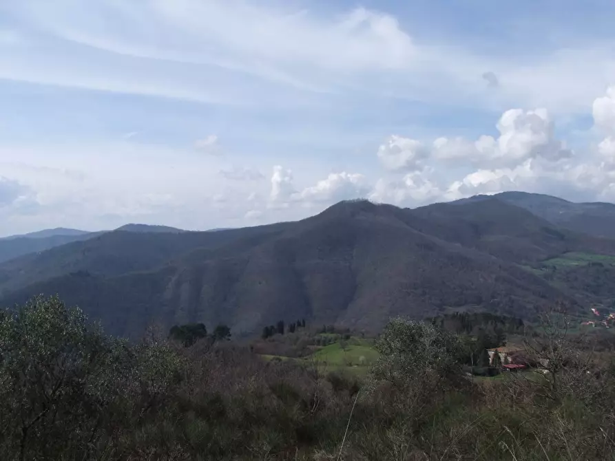 Immagine 19 di Casa colonica in vendita  a Dicomano