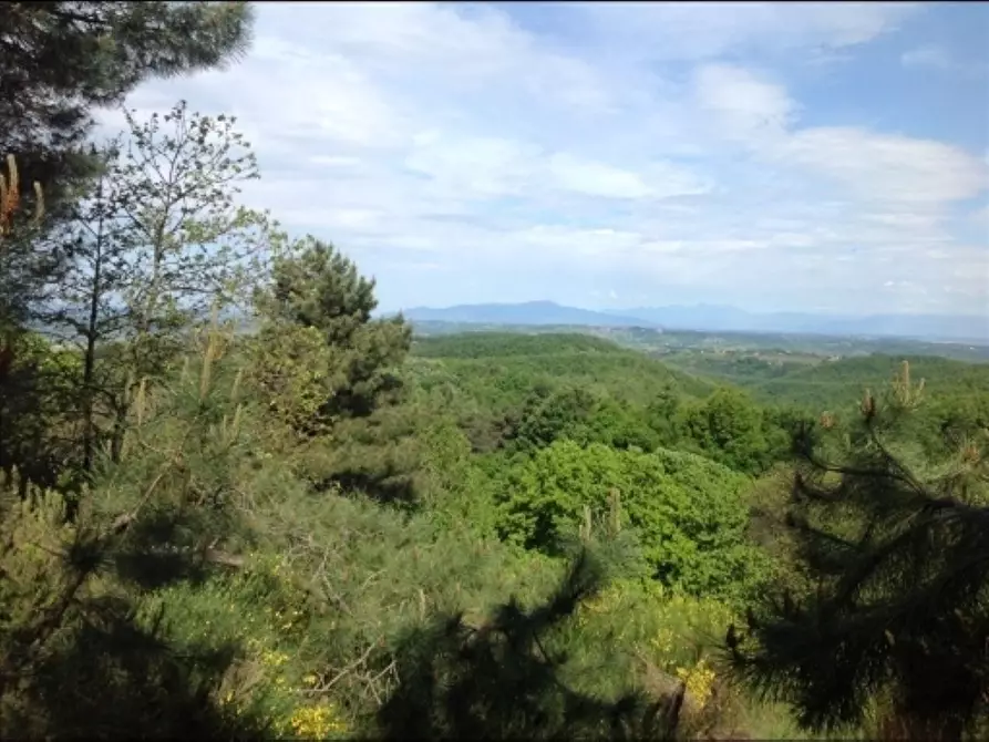 Immagine 26 di Deposito in vendita  a Montaione