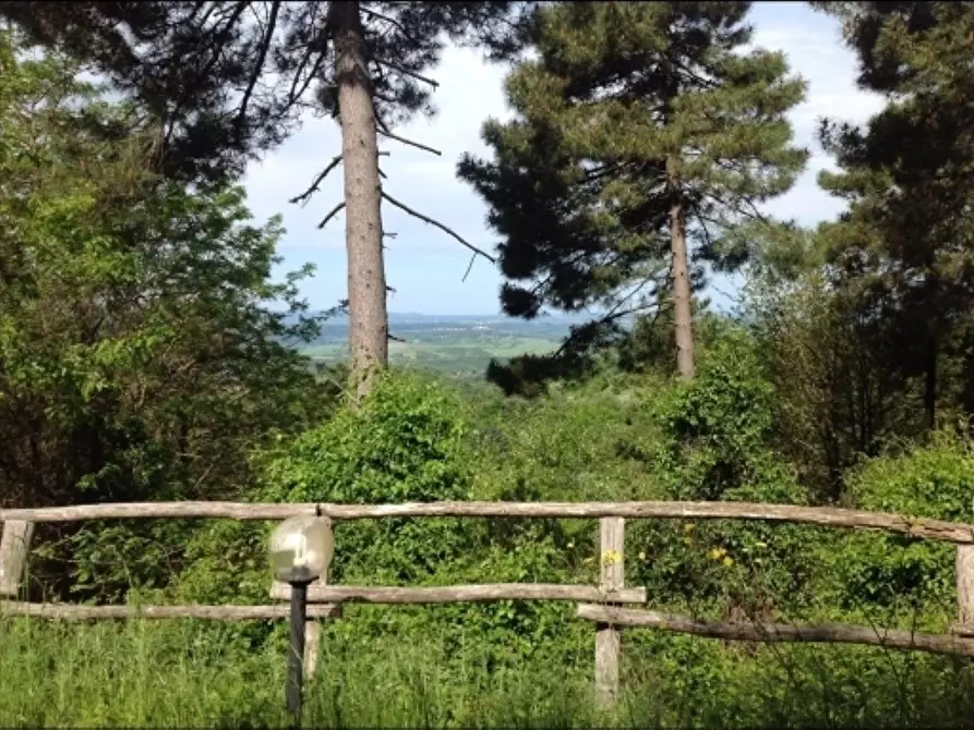 Immagine 24 di Deposito in vendita  a Montaione