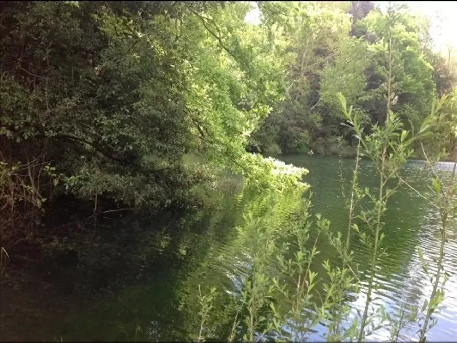 Immagine 32 di Deposito in vendita  a Montaione