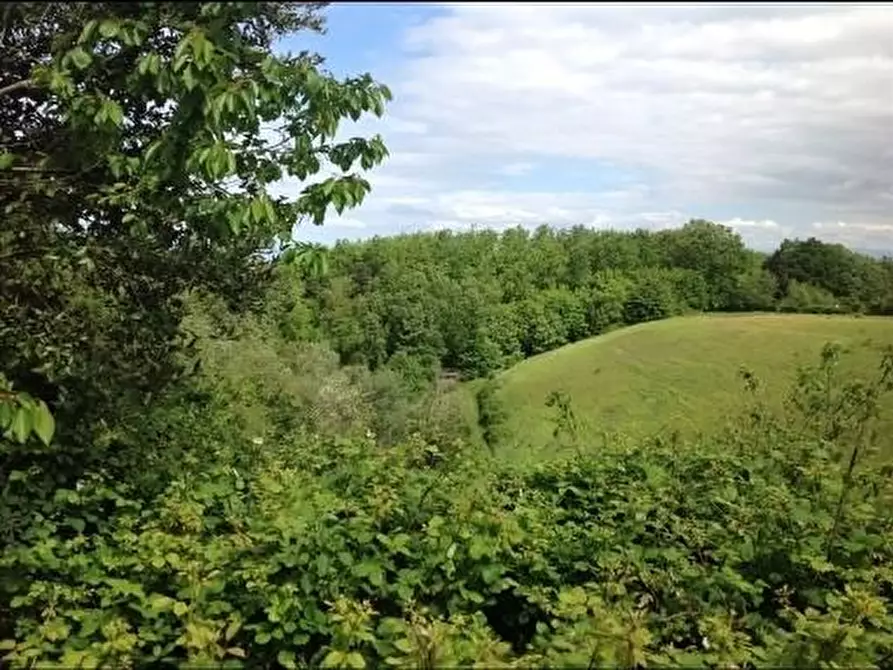 Immagine 37 di Deposito in vendita  a Montaione