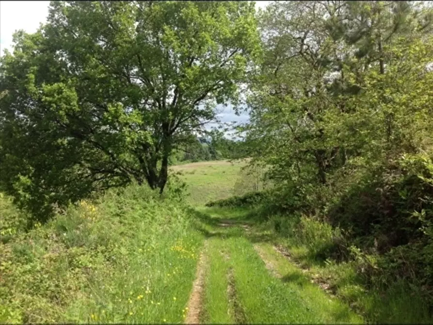 Immagine 25 di Deposito in vendita  a Montaione