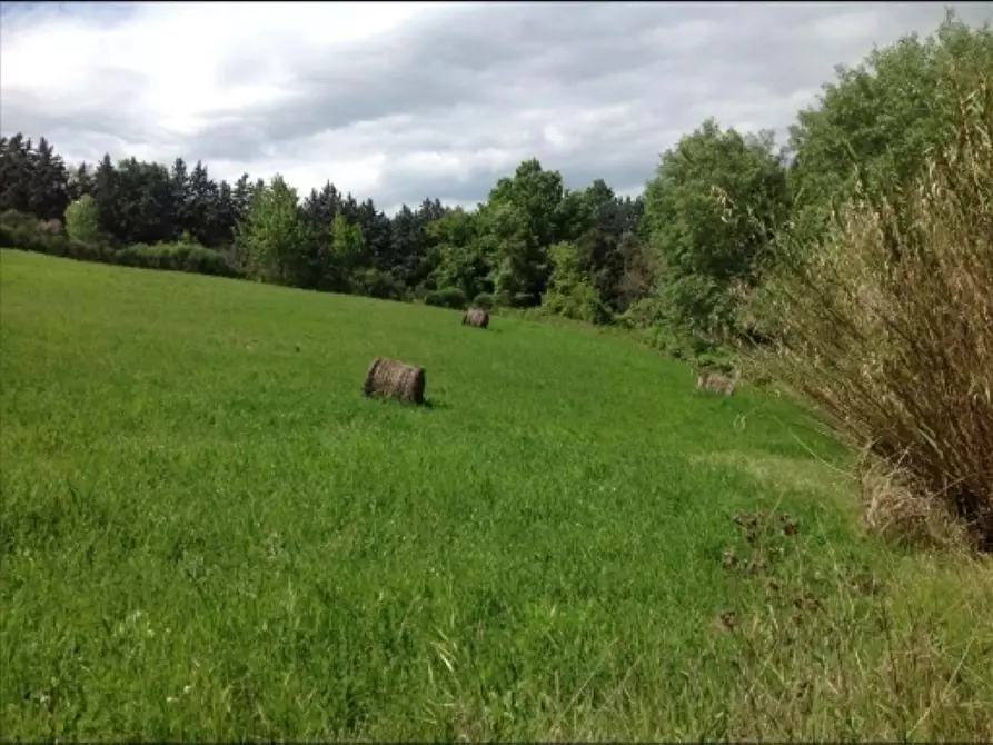 Immagine 30 di Deposito in vendita  a Montaione