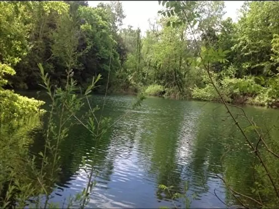 Immagine 39 di Deposito in vendita  a Montaione