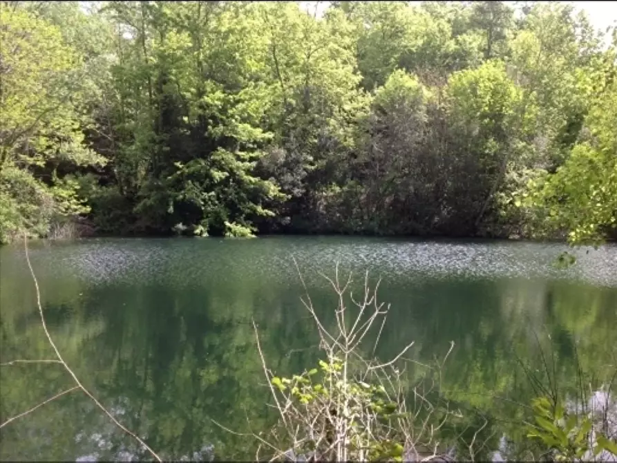 Immagine 35 di Deposito in vendita  a Montaione