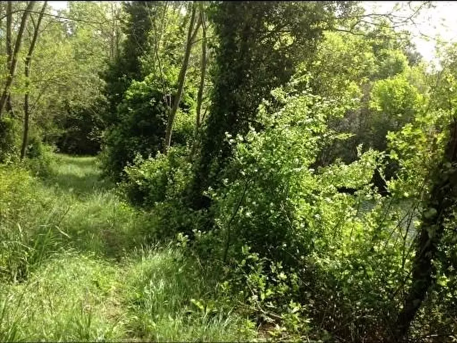 Immagine 36 di Deposito in vendita  a Montaione