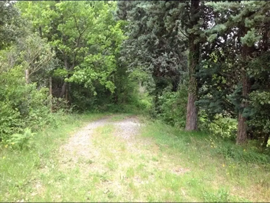 Immagine 23 di Deposito in vendita  a Montaione