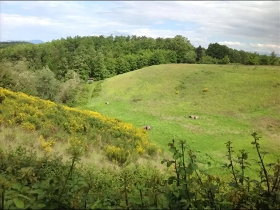 Immagine 31 di Deposito in vendita  a Montaione