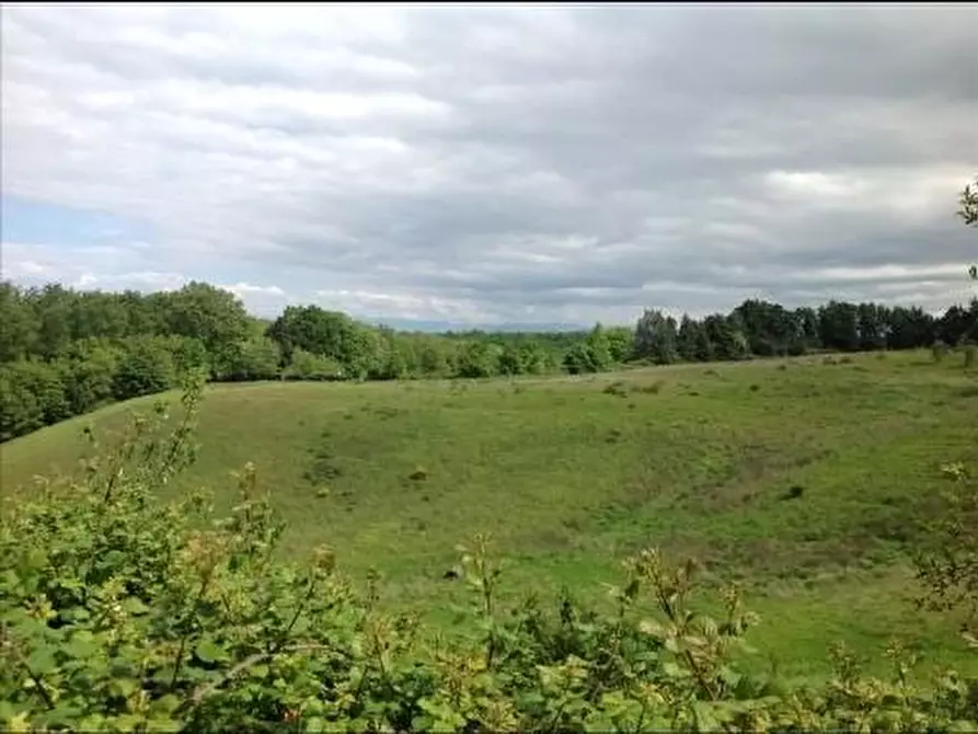 Immagine 38 di Deposito in vendita  a Montaione