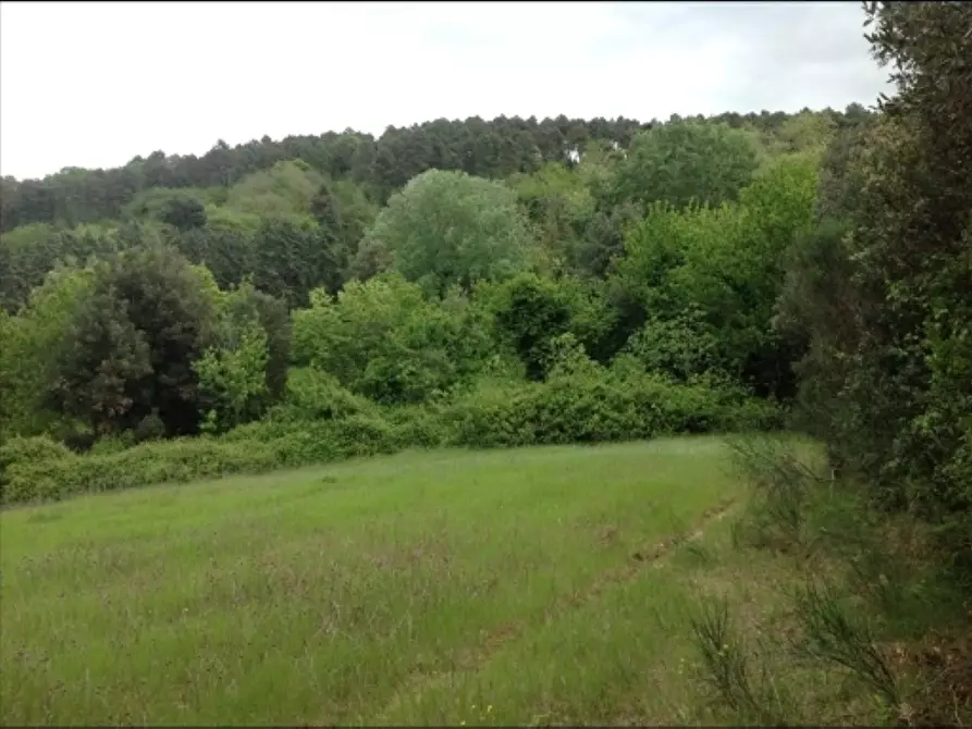 Immagine 29 di Deposito in vendita  a Montaione