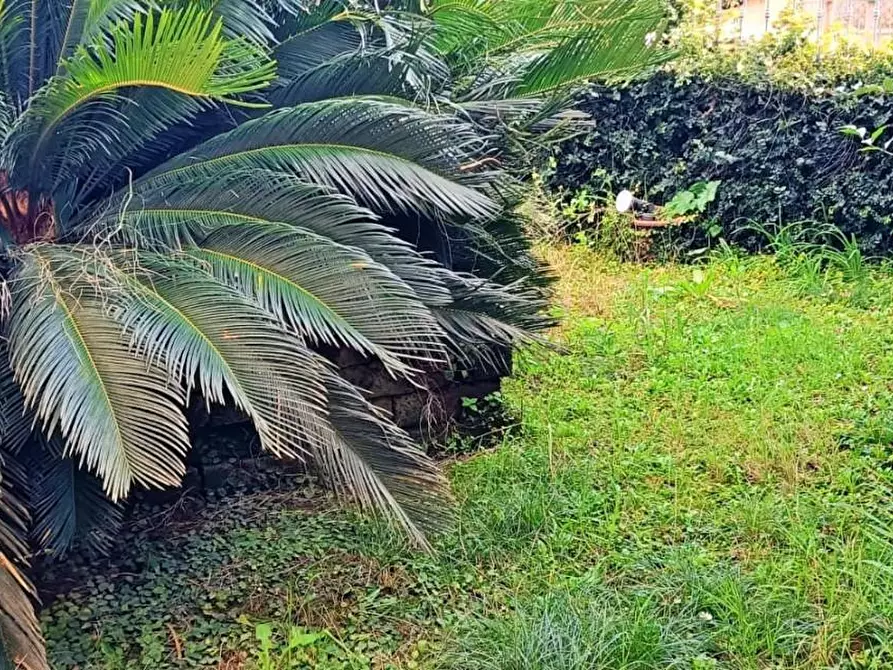 Immagine 5 di Casa bifamiliare in vendita  a Pisa