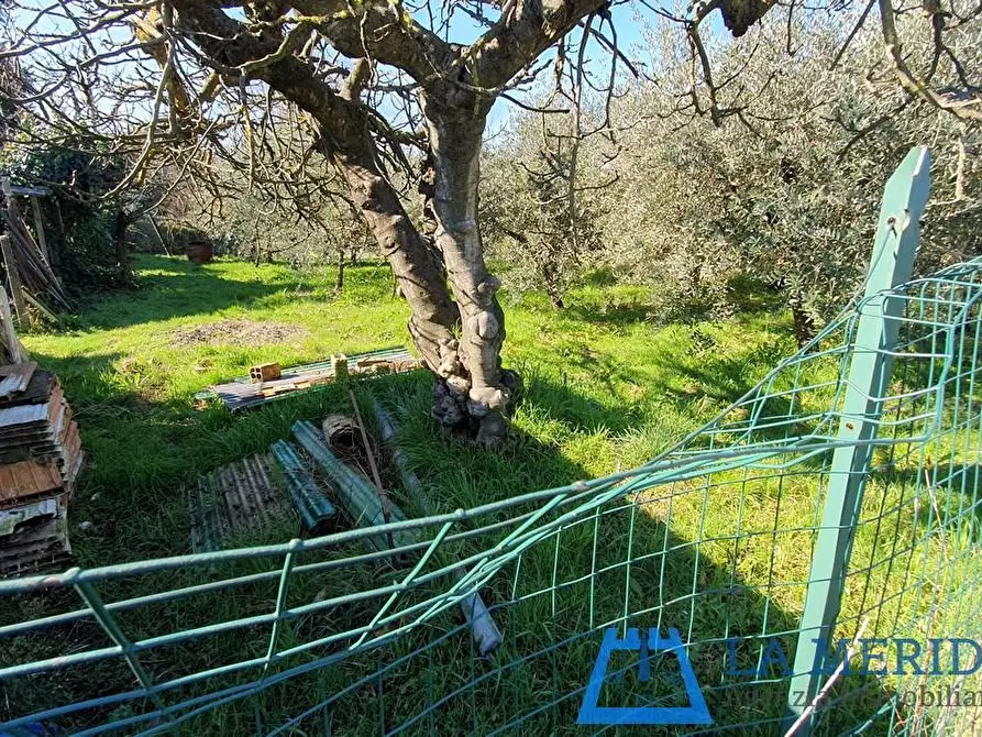 Immagine 49 di Casa indipendente in vendita  a Cerreto Guidi