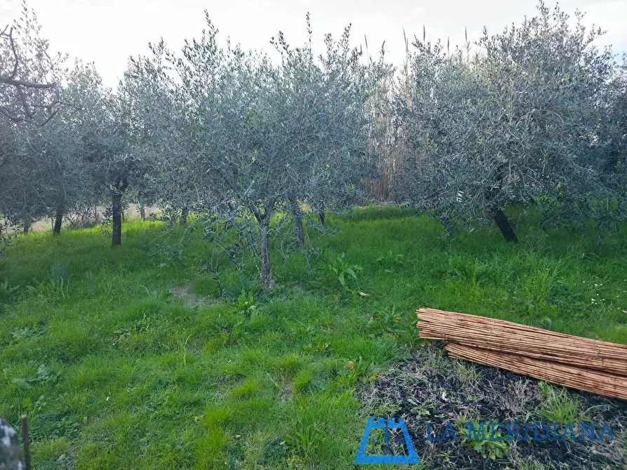 Immagine 55 di Casa indipendente in vendita  a Cerreto Guidi