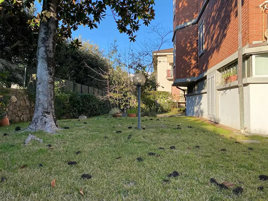 Immagine 29 di Appartamento in vendita  a Massa