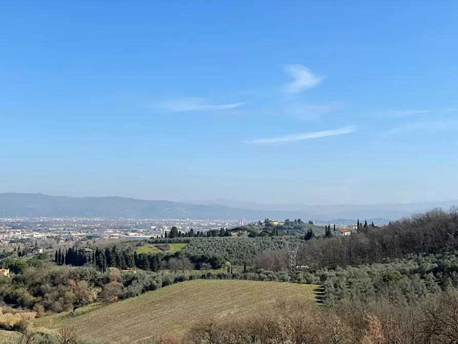 Immagine 87 di Azienda agricola in vendita  a Lastra A Signa