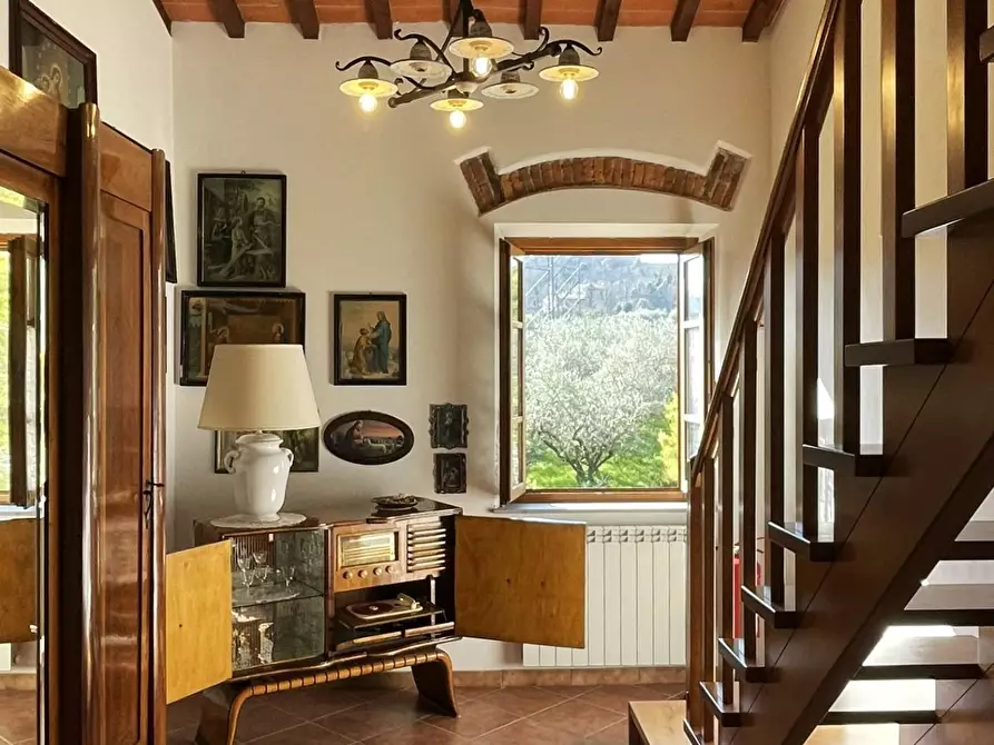 Immagine 20 di Azienda agricola in vendita  a Lastra A Signa