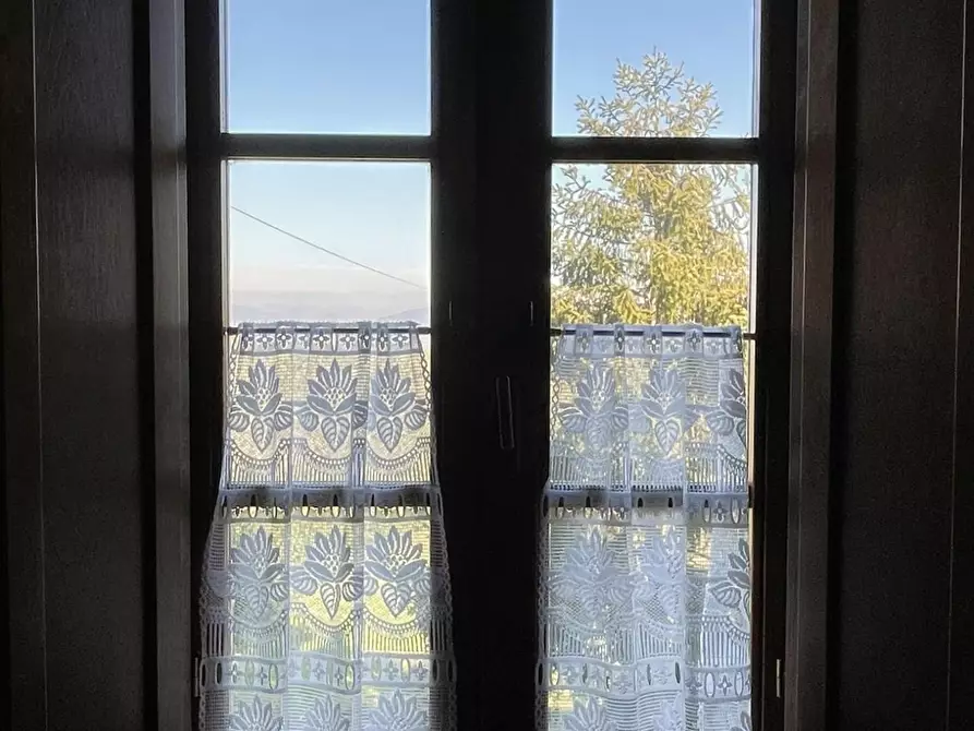 Immagine 53 di Azienda agricola in vendita  a Lastra A Signa