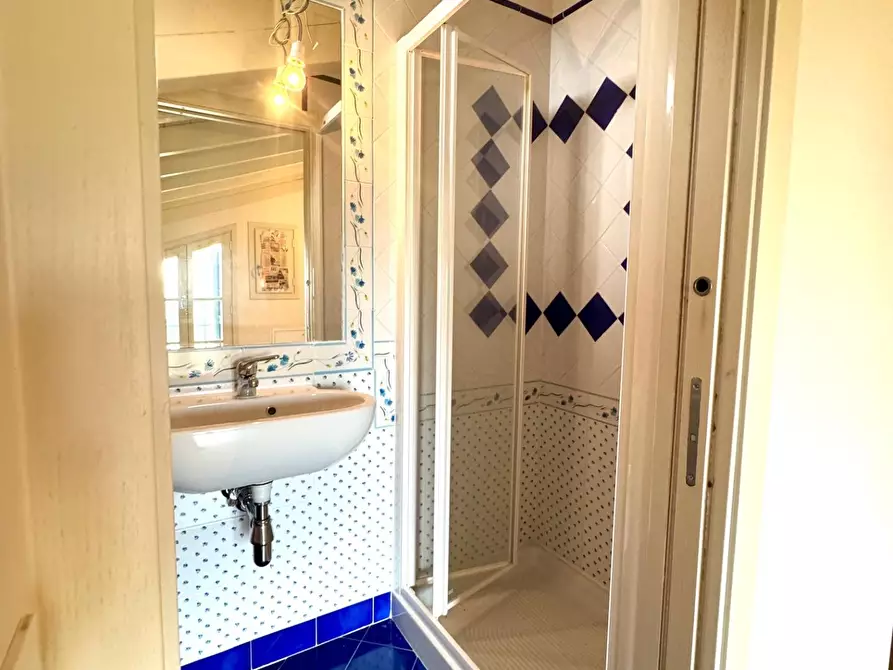 Immagine 49 di Villa in vendita  a Empoli